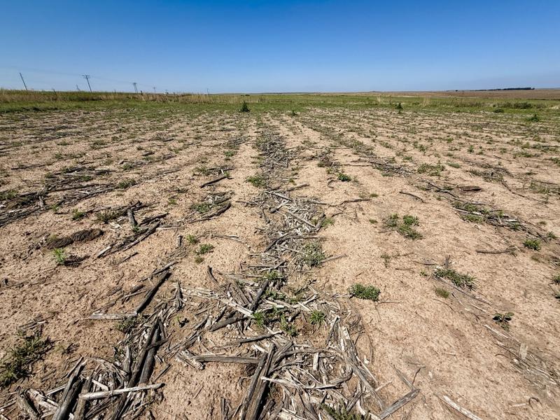 0 Bedroom Property for Sale in Tweeling Free State